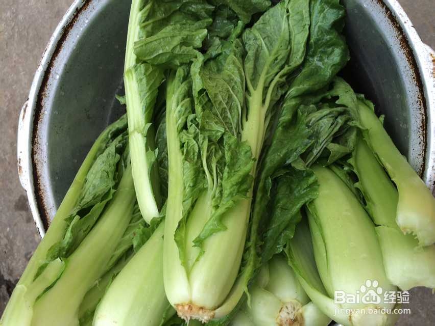 家常白菜丝瓜火锅的做法