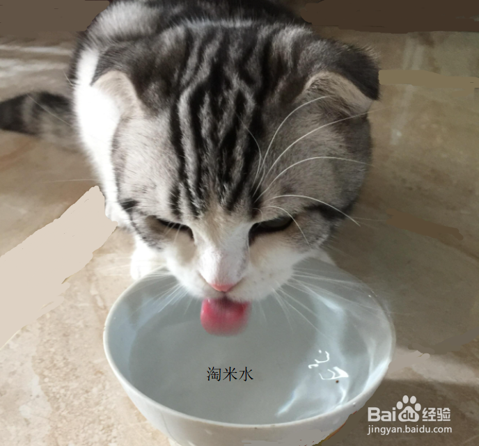 节俭小妙招征集