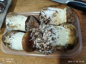 教你怎么做松茸鸡汤