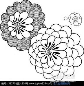 有哪些花不适合放在家里