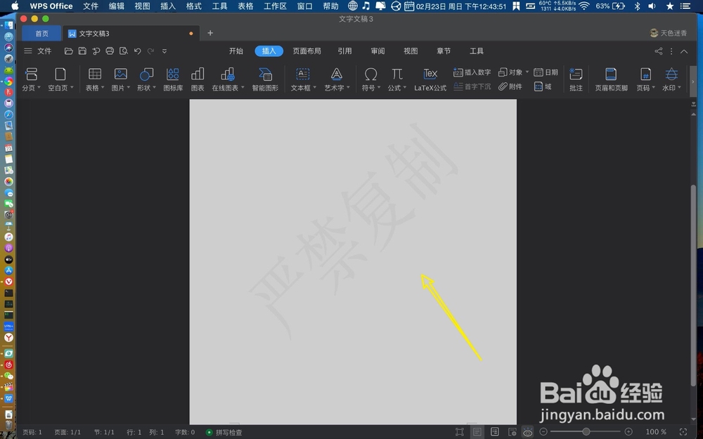 Mac WPS怎么插入水印