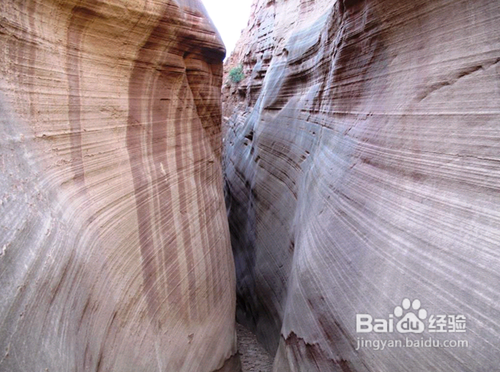 黄石公园、羚羊彩穴、太浩湖旅游攻略
