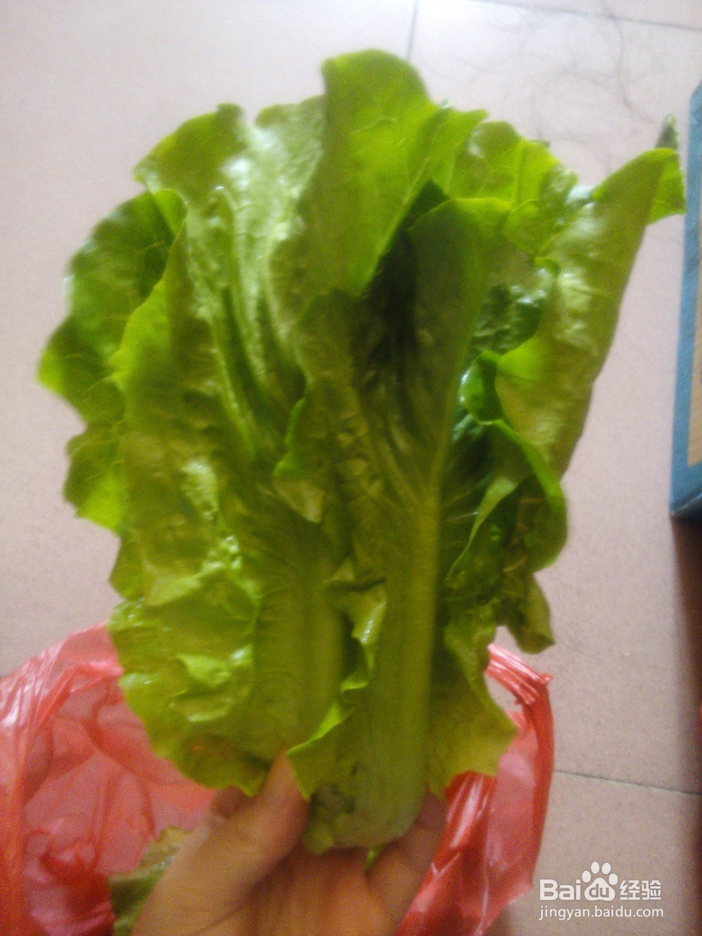 冬季热辣辣的美食