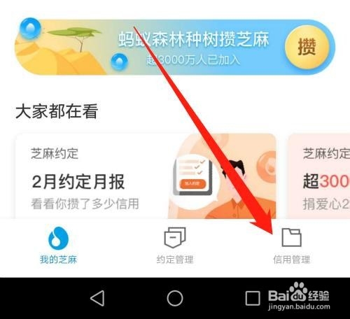 支付宝怎么解除芝麻信用授权的应用