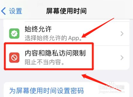 苹果手机如何设置允许更改照片权限