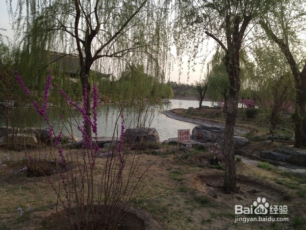 北京旅游攻略：[9]旺兴湖公园