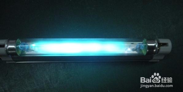 猫有绦虫家里怎么消毒