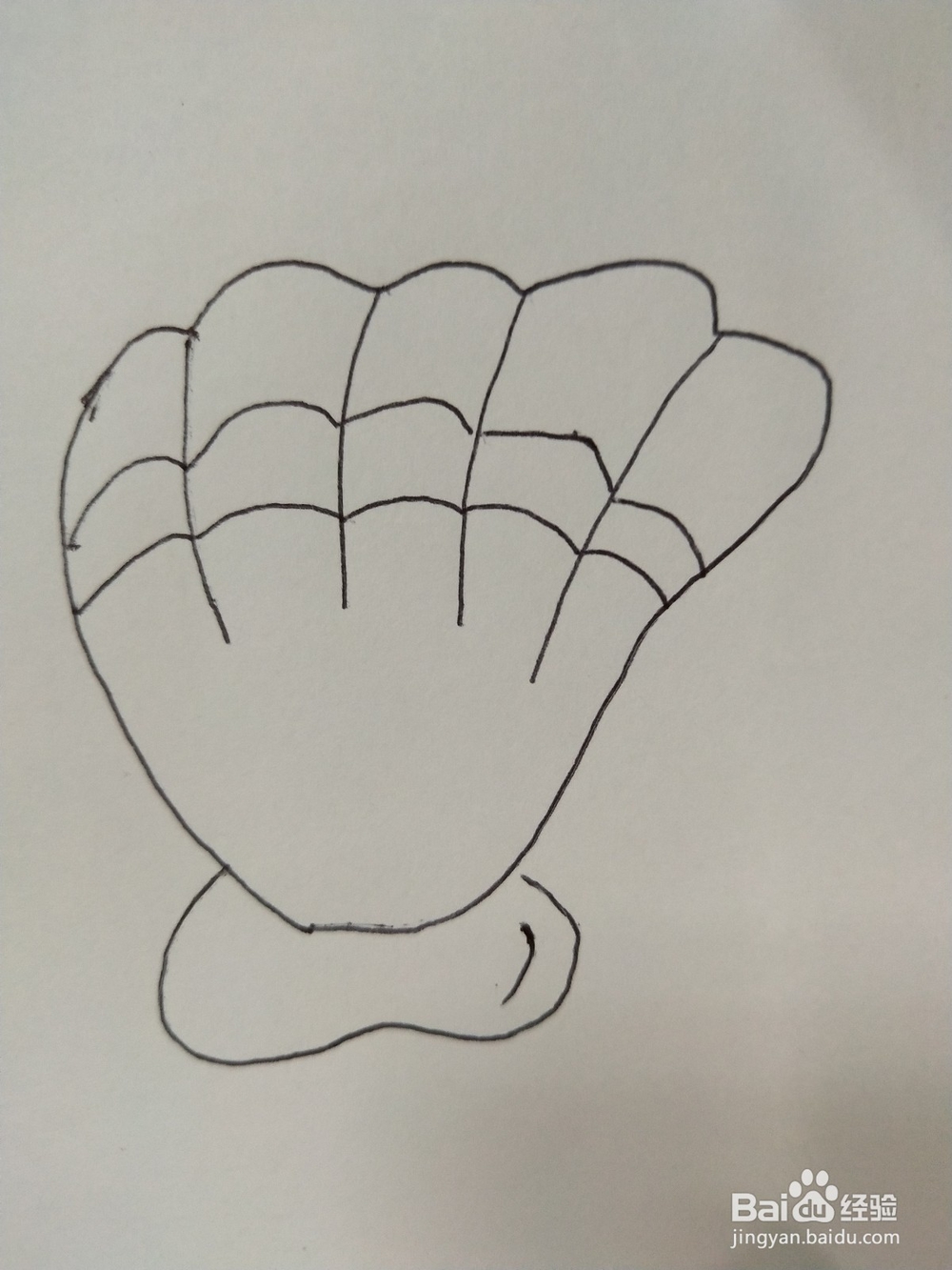 怎么画一个贝壳