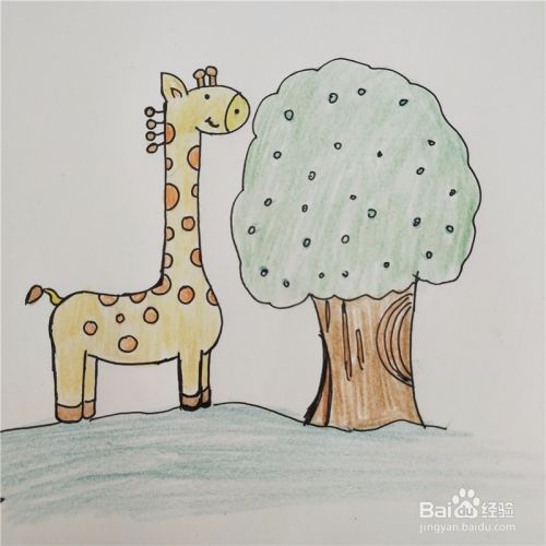 宝宝启蒙画：如何画一只长颈鹿？