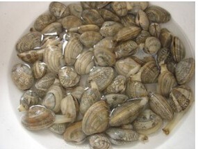 怎么吃蛤没有沙子?