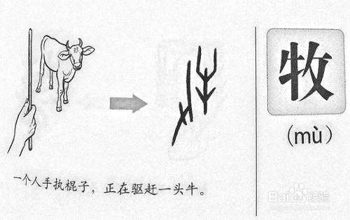 会意字识记的方法