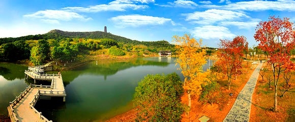 香山枫叶红满天