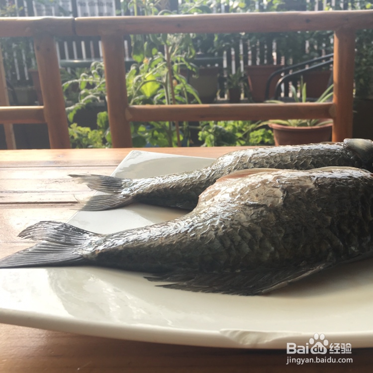 小孩子超喜欢的水鱼