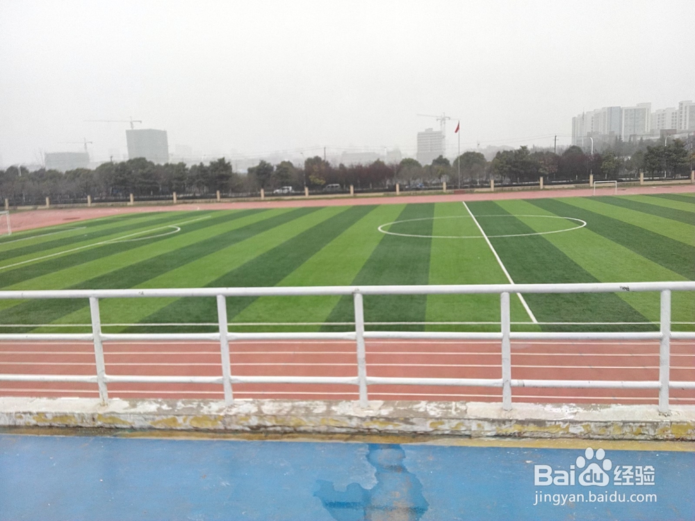 中学生放长假该干些什么