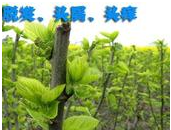 罕见美容偏方， 再懒的女人都能用