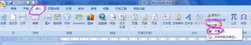 visio文档加载到word文档中