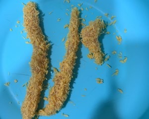 怎么制作老上海香酥鸡