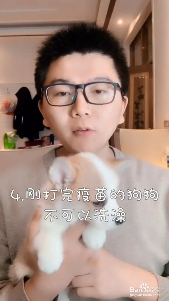 哪些时间段不可以给狗狗洗澡