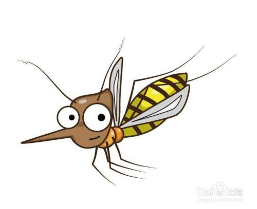 夏季虫蚁叮咬高发期，严重可致死亡