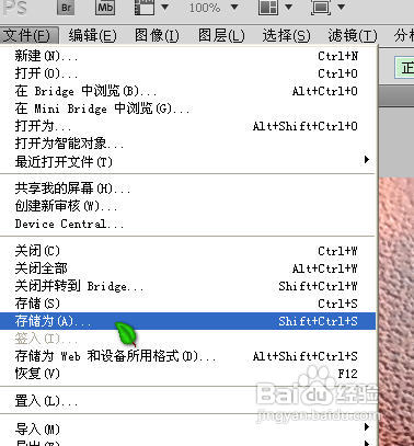 怎样用Photoshop给图片批量加水印
