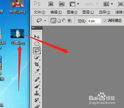 用PS制作动态猫咪表情包