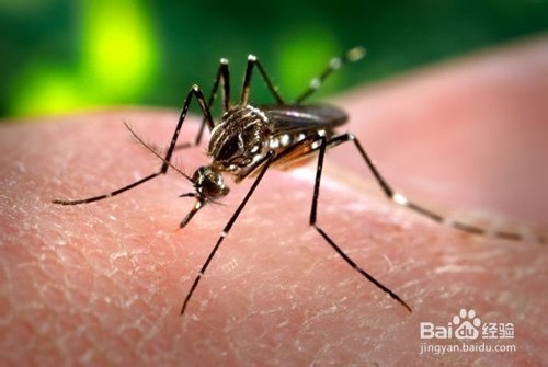 生物小知识:区分传染病中的传染源和传播途径