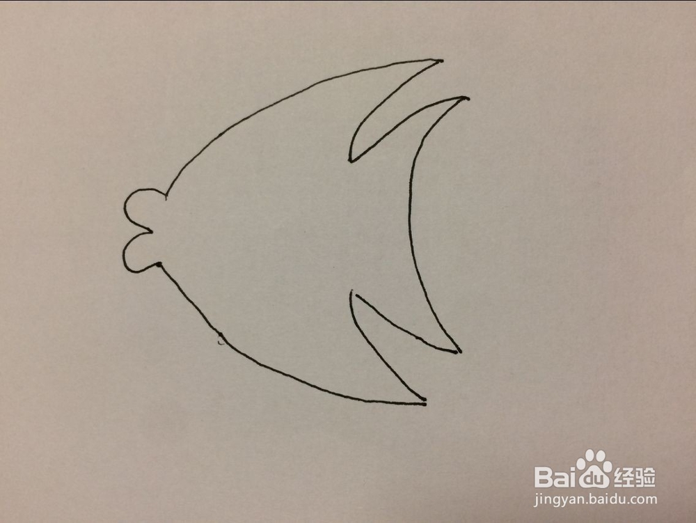 儿童热带鱼的简单画法