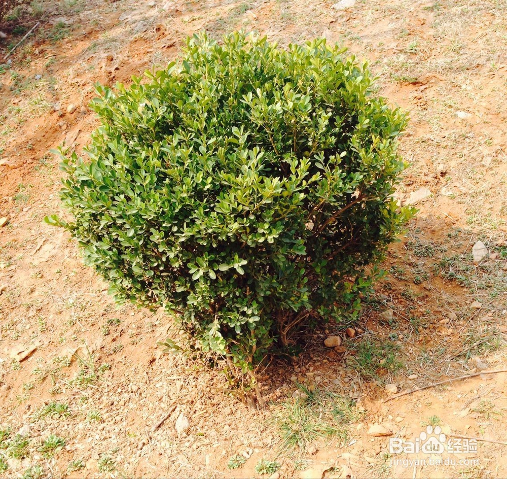 怎样给外面的流浪猫喂食?