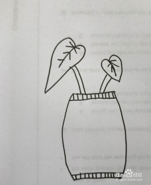 龟背竹简笔画怎么画