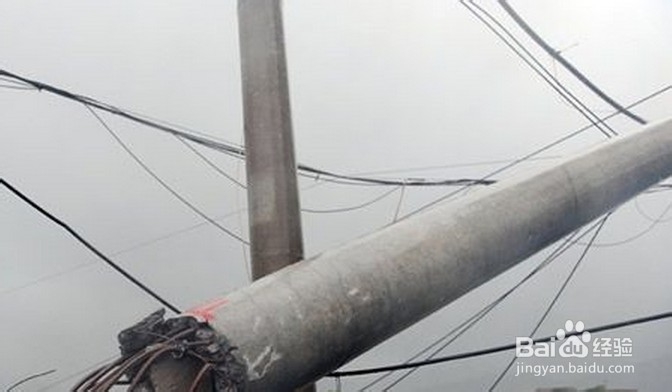 台风过境城市时街道行人交通安全注意事项