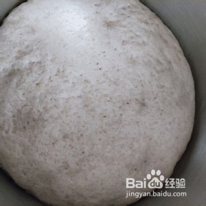 烧烤味豆角酱肉包怎么做