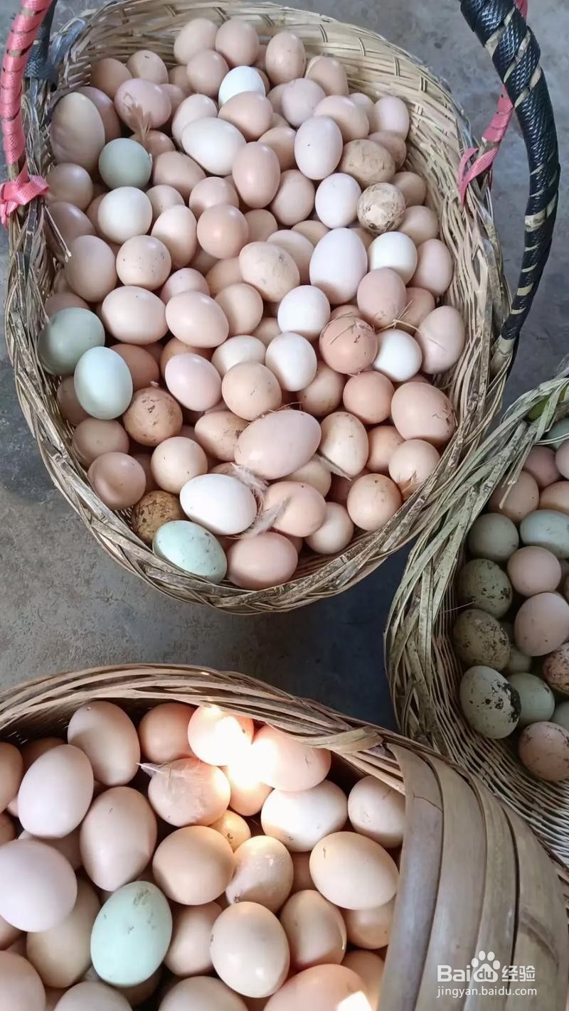 淮扬菜和合腰子