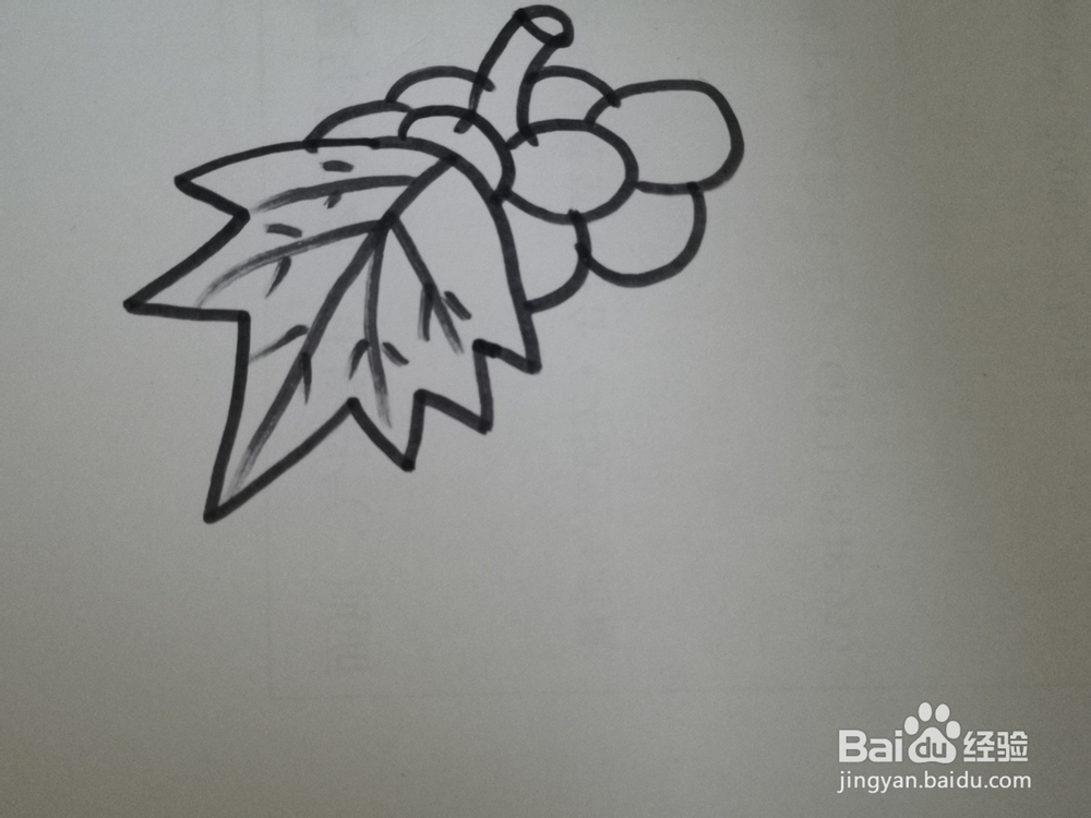简笔画怎么画葡萄
