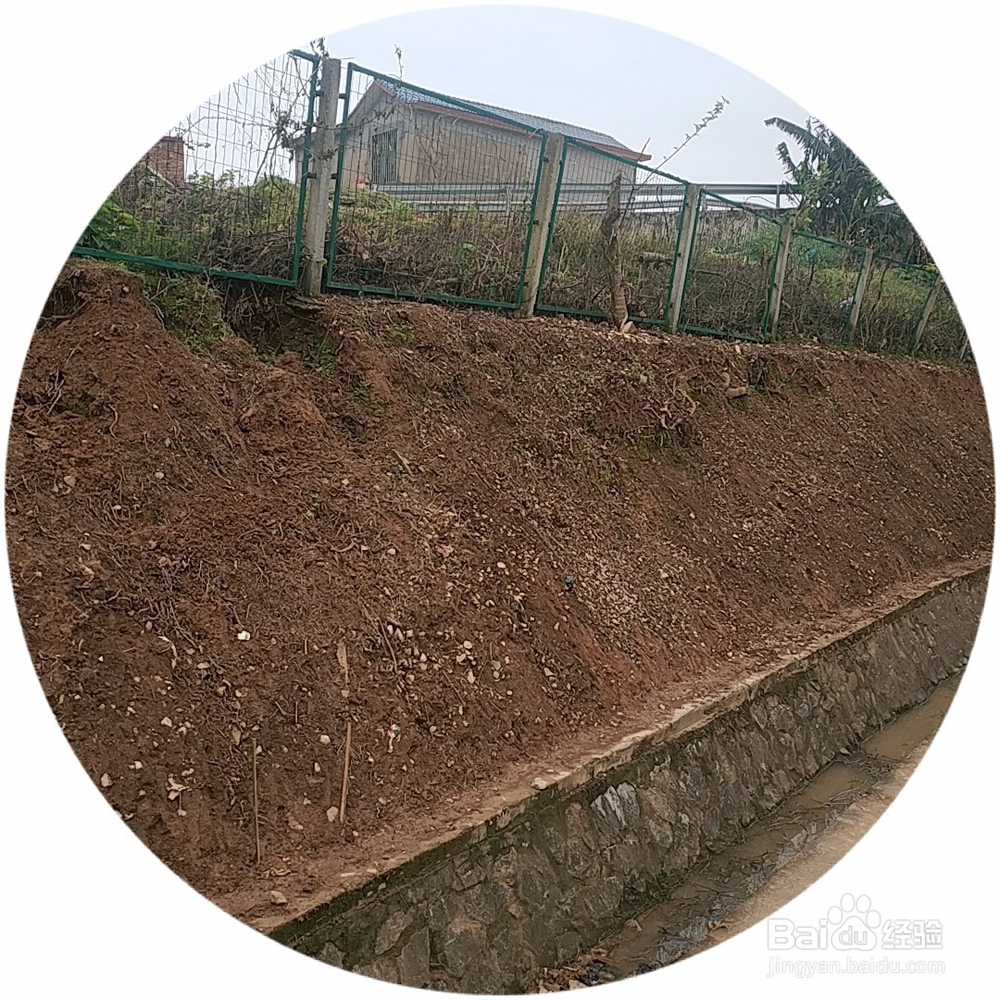 边坡人字骨架加固前期工程有哪些？