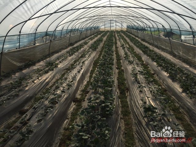 长沙周边好的农家乐