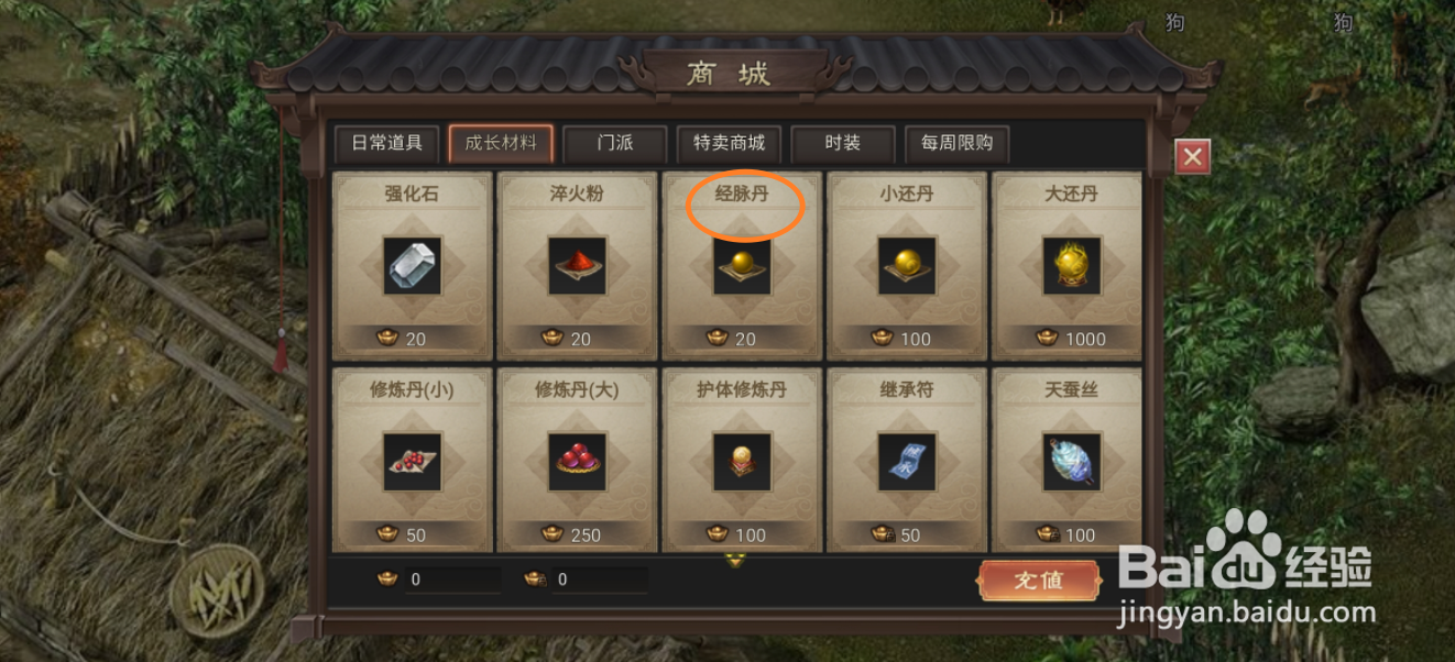 武林霸业的经脉丹在哪里可以买到