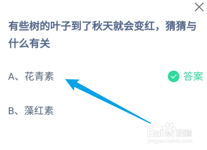 树的叶子到了秋天就会变红与什么有关?蚂蚁庄园
