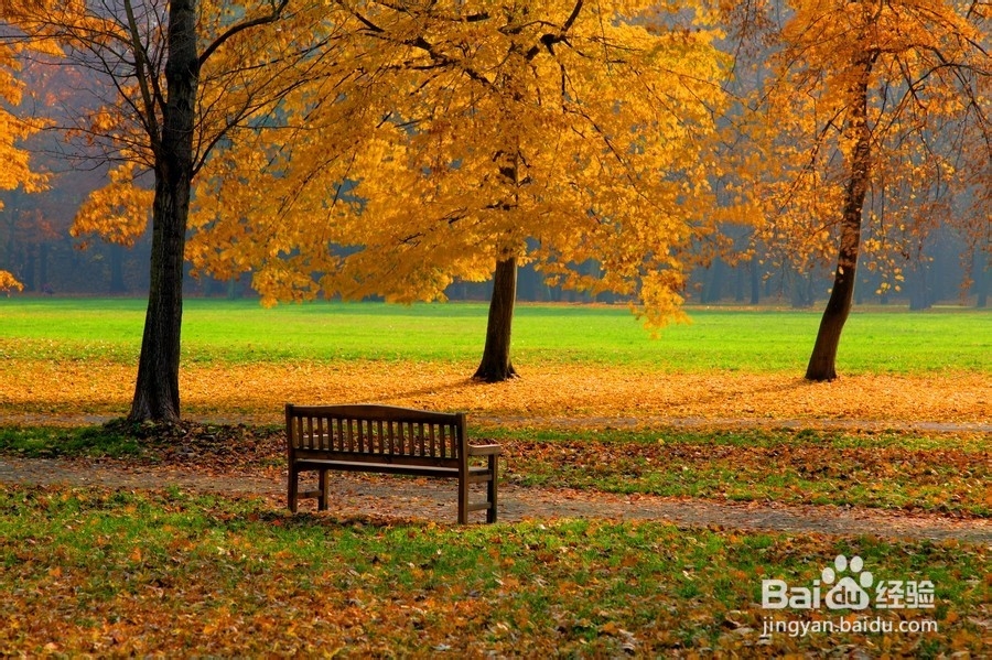 抑郁症的自我调节