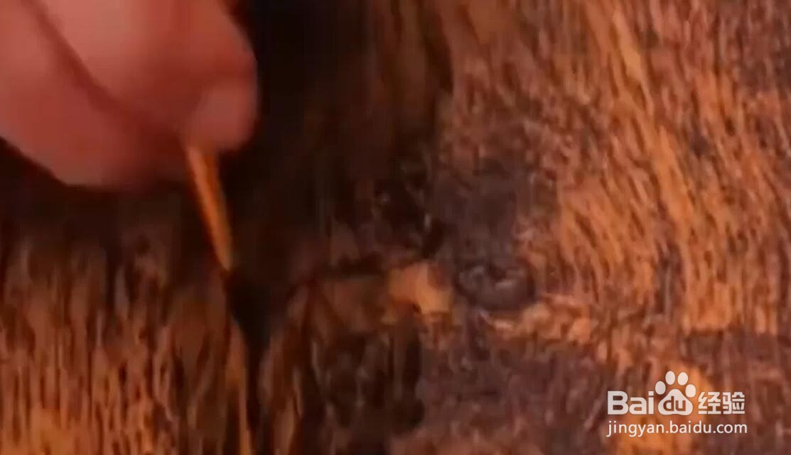 生活中有什么神奇修复小技巧