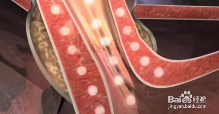 怀孕期间护肤指南