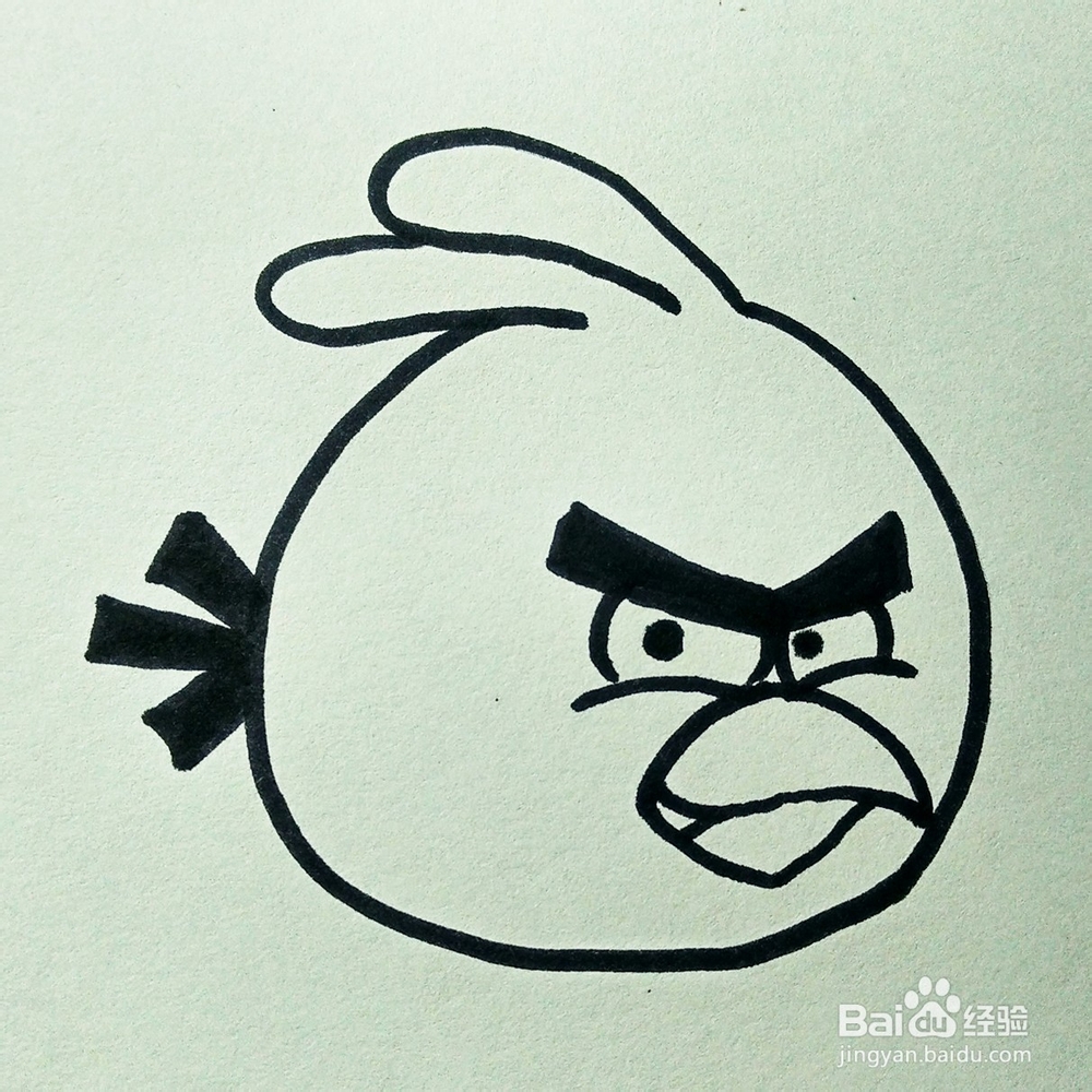 儿童简笔画：愤怒的小鸟