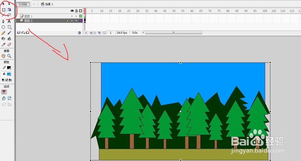 flash用森林背景制作引导线遮罩元件的动画