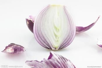 能消脂的美味食物