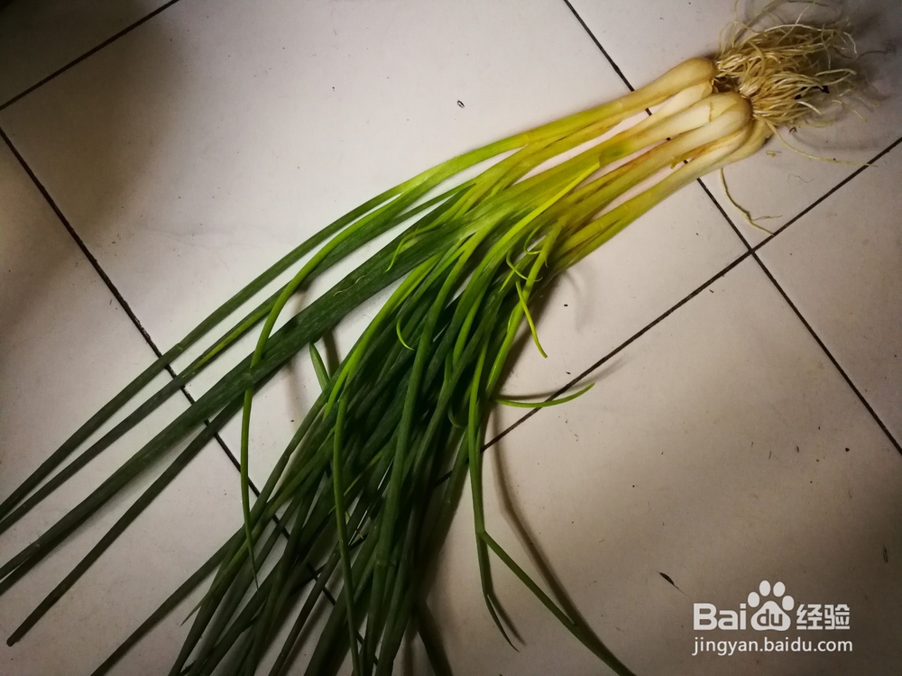 我的最爱-蘑菇酱-香葱鸡蛋炒米饭