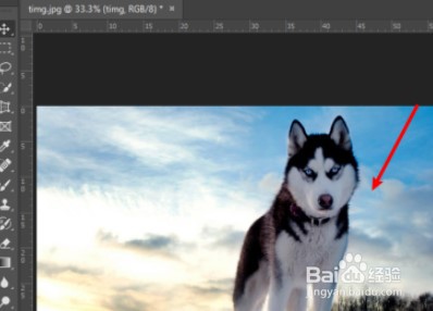Ps怎么局部填充