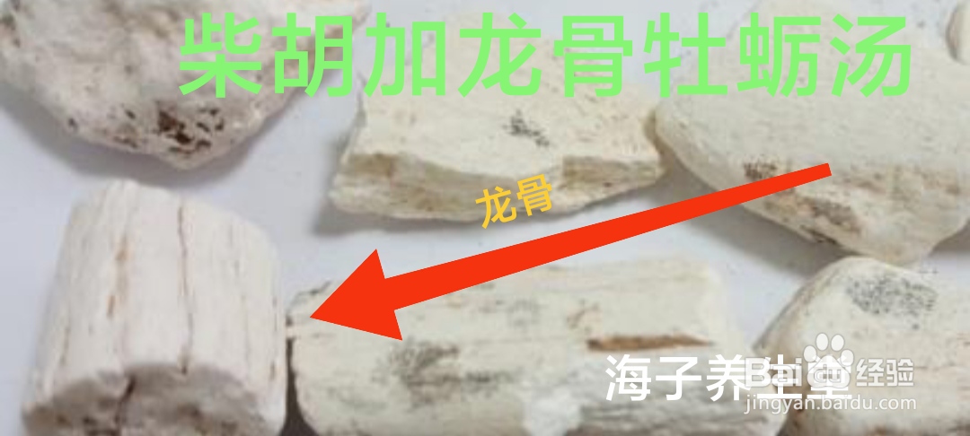 柴胡加龙骨牡蛎汤
