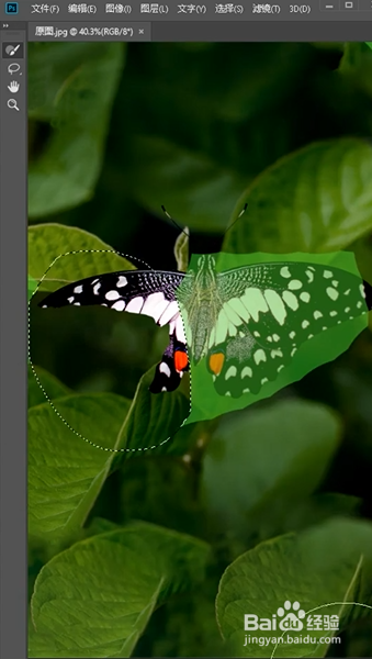 PS如何进行镜像填充