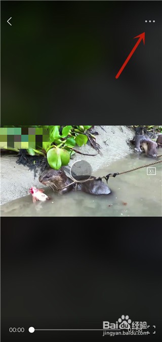 看点视频怎么分享