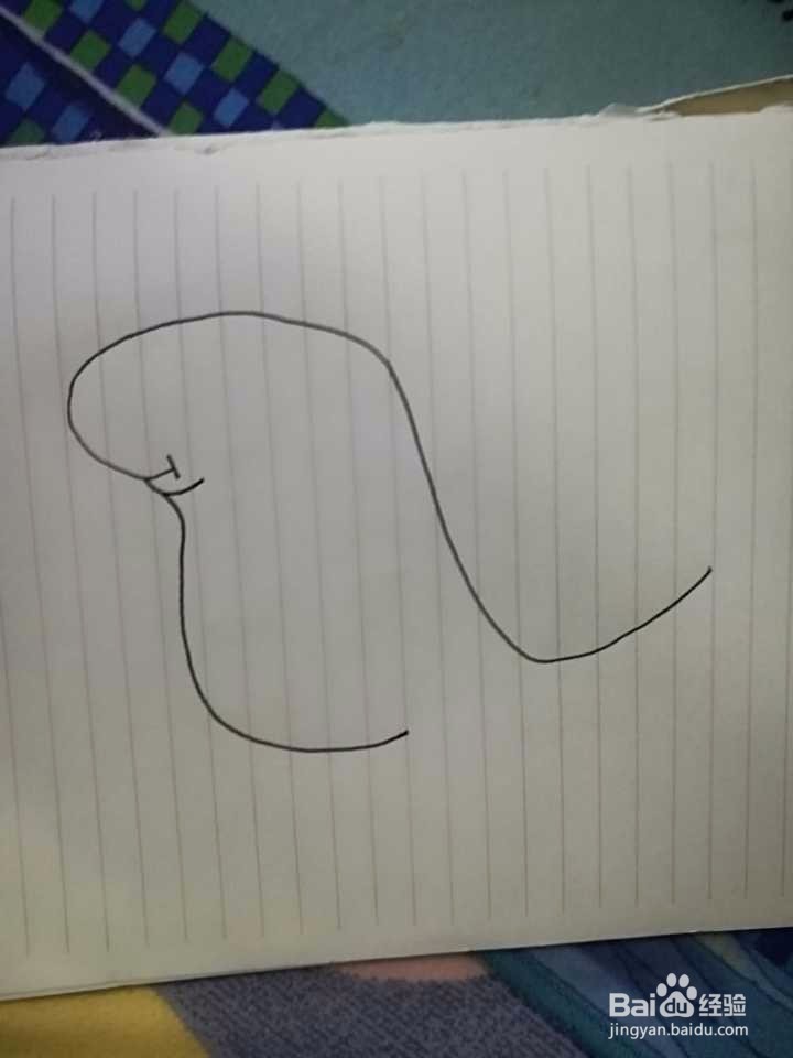 可爱小恐龙画法