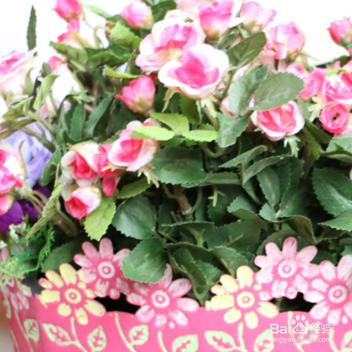 花盆里有蜈蚣怎么去除